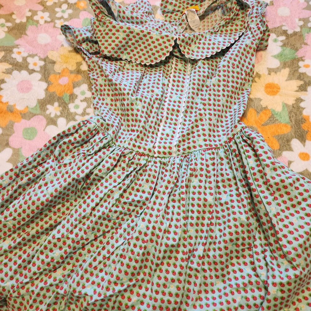 Bernie Dexter Strawberry Dress